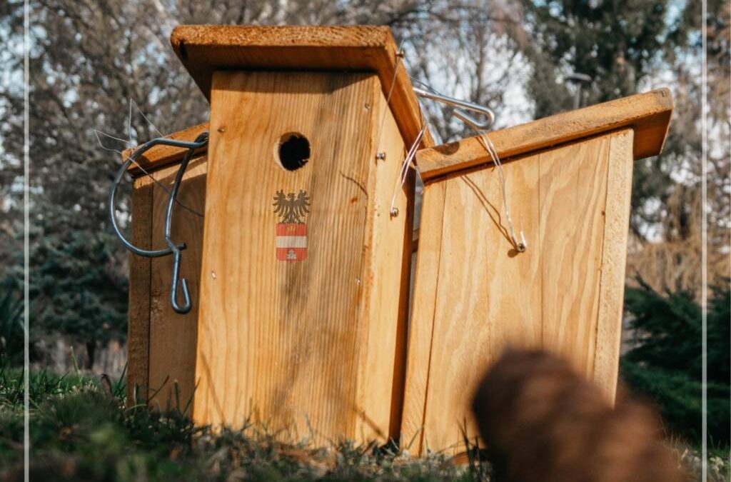 MADARAK ÉS FÁK NAPJA